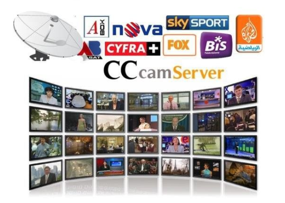 Stabiele die Cccam betaalt Server automatisch met DVB wordt bijgewerkt - S2-Ontvanger